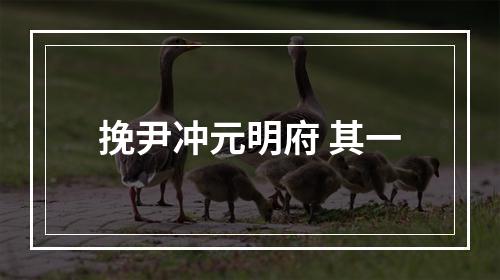 挽尹冲元明府 其一