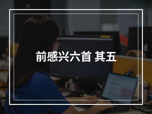 前感兴六首 其五