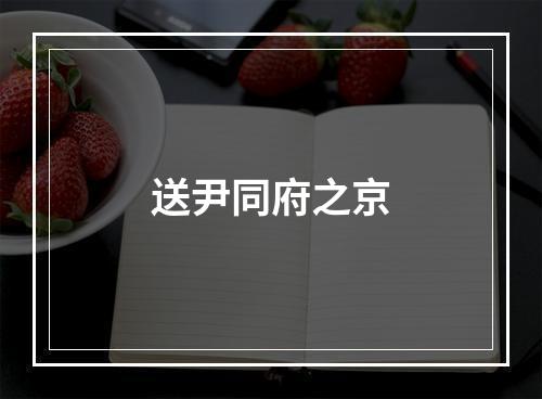 送尹同府之京