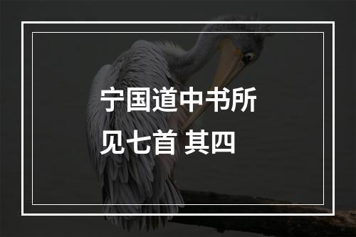 宁国道中书所见七首 其四