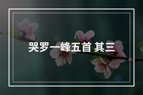 哭罗一峰五首 其三