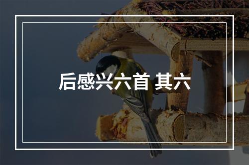 后感兴六首 其六