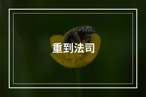 重到法司