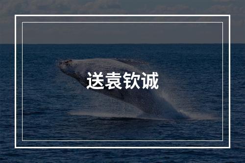 送袁钦诚