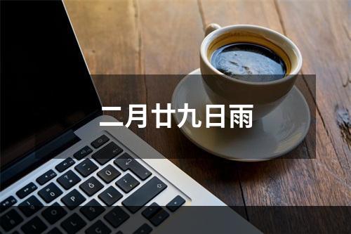 二月廿九日雨