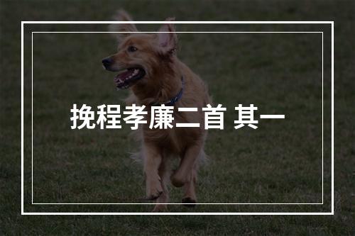 挽程孝廉二首 其一
