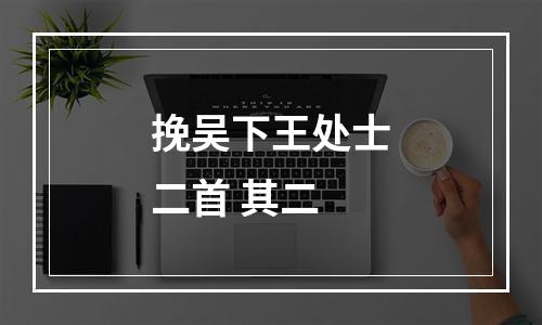 挽吴下王处士二首 其二
