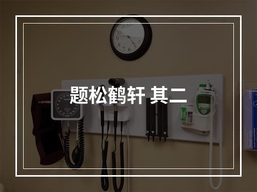 题松鹤轩 其二