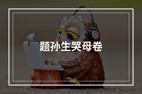 题孙生哭母卷