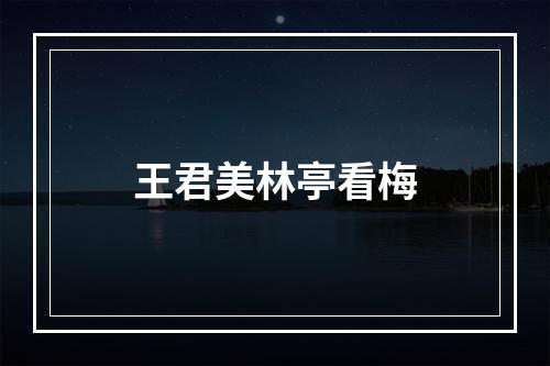 王君美林亭看梅