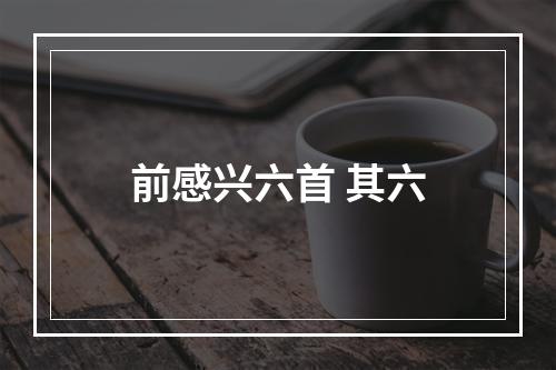 前感兴六首 其六