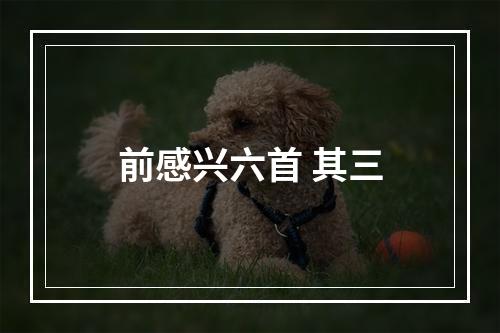 前感兴六首 其三