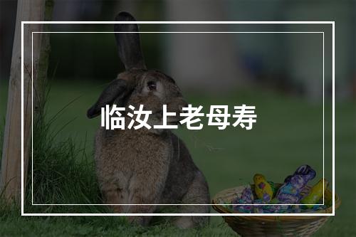临汝上老母寿