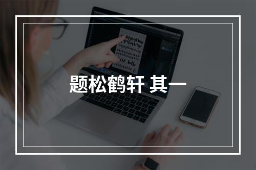 题松鹤轩 其一