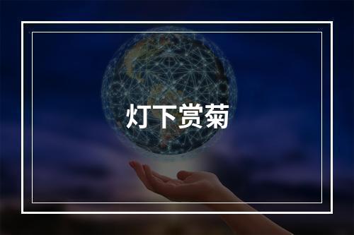 灯下赏菊