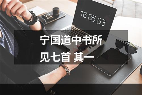 宁国道中书所见七首 其一