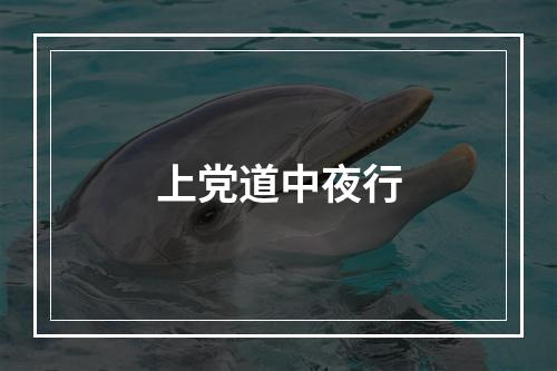 上党道中夜行