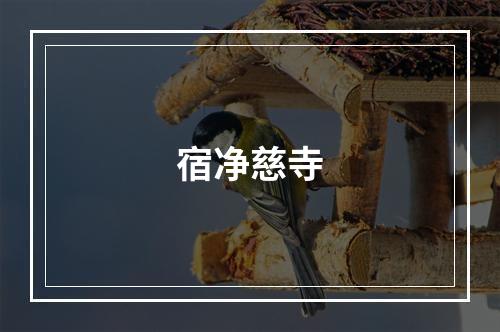 宿净慈寺