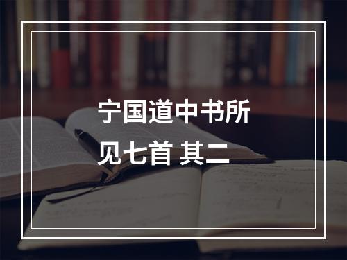 宁国道中书所见七首 其二