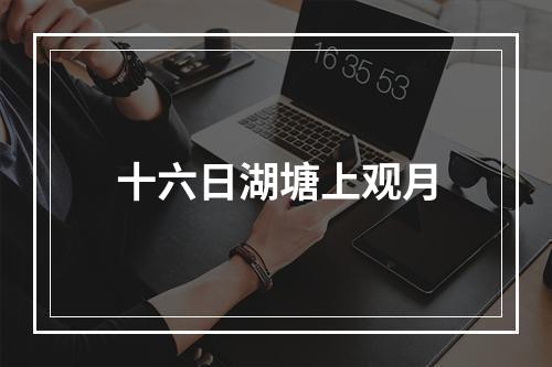 十六日湖塘上观月