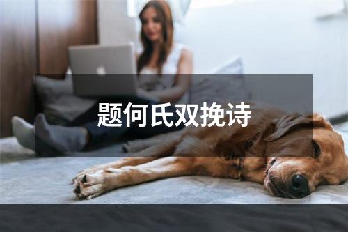 题何氏双挽诗