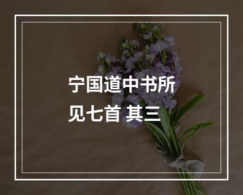 宁国道中书所见七首 其三