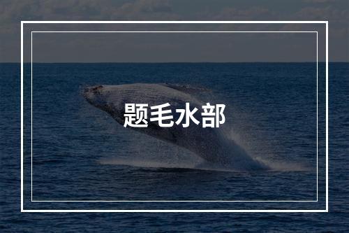 题毛水部