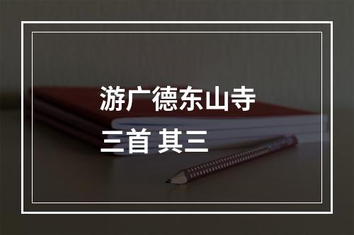 游广德东山寺三首 其三