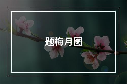 题梅月图
