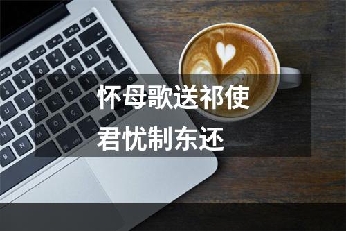 怀母歌送祁使君忧制东还