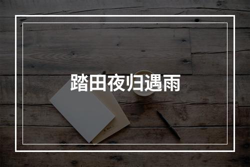 踏田夜归遇雨