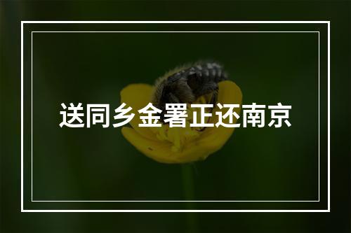 送同乡金署正还南京