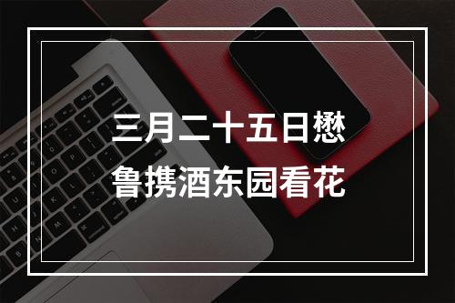 三月二十五日懋鲁携酒东园看花