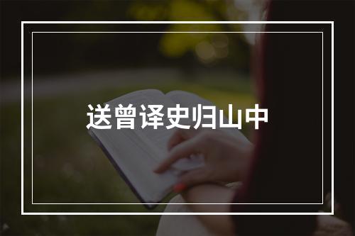 送曾译史归山中