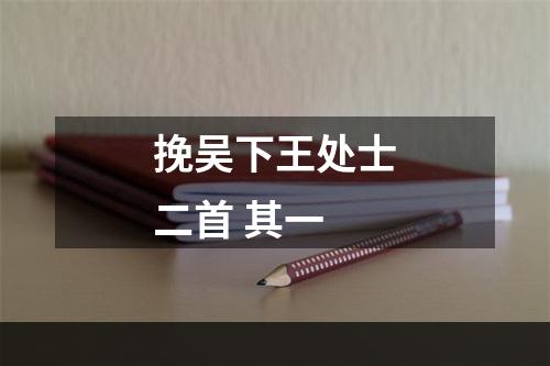 挽吴下王处士二首 其一