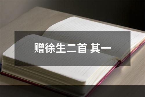 赠徐生二首 其一