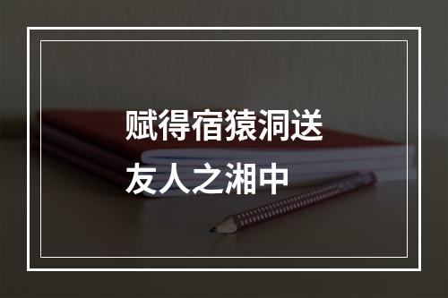 赋得宿猿洞送友人之湘中
