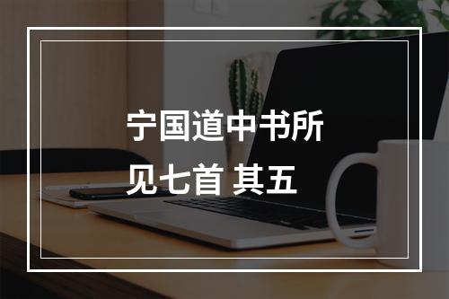 宁国道中书所见七首 其五