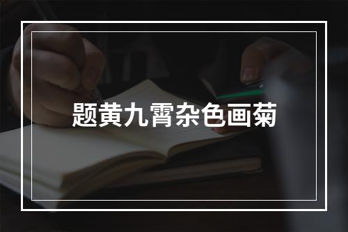 题黄九霄杂色画菊