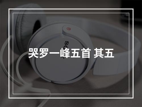 哭罗一峰五首 其五
