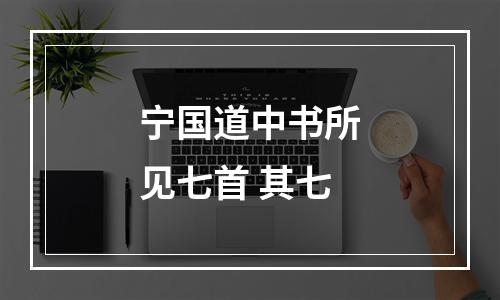 宁国道中书所见七首 其七