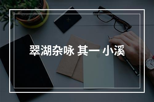 翠湖杂咏 其一 小溪