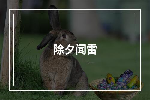 除夕闻雷