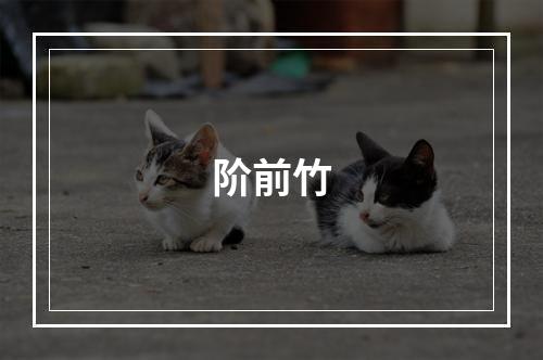 阶前竹