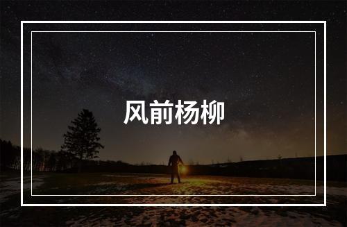 风前杨柳