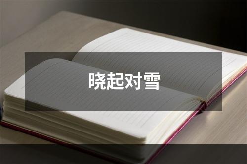 晓起对雪