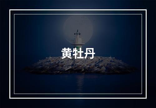 黄牡丹