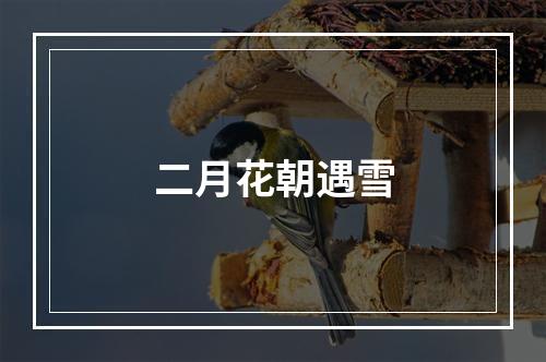 二月花朝遇雪