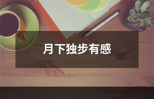 月下独步有感