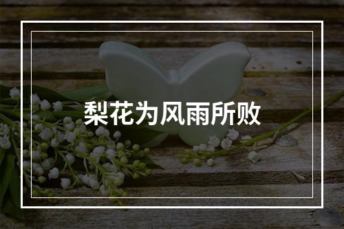 梨花为风雨所败